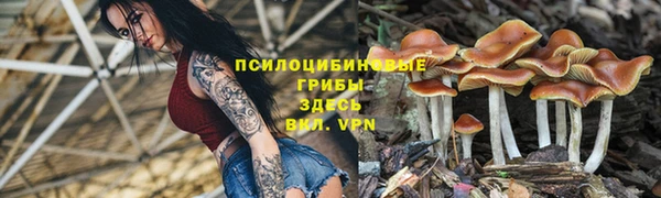 метадон Наволоки
