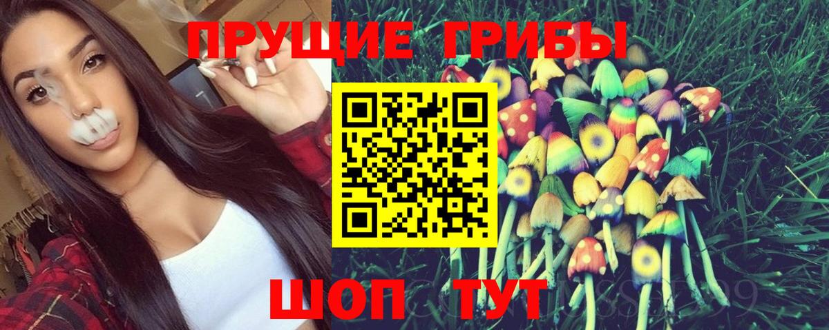 Галлюциногенные грибы Cubensis Сарапул