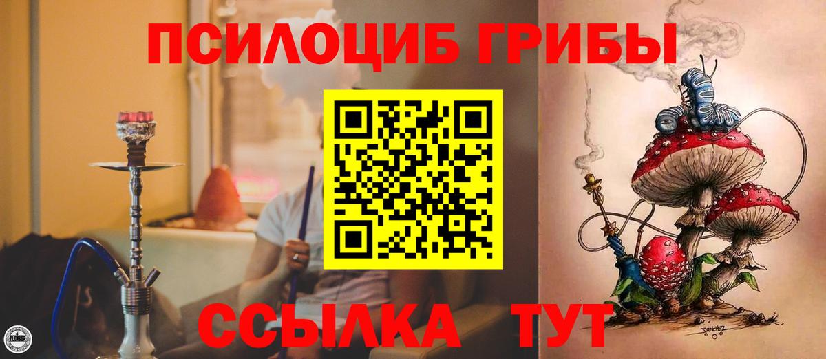 Псилоцибиновые грибы Psilocybine cubensis Сарапул