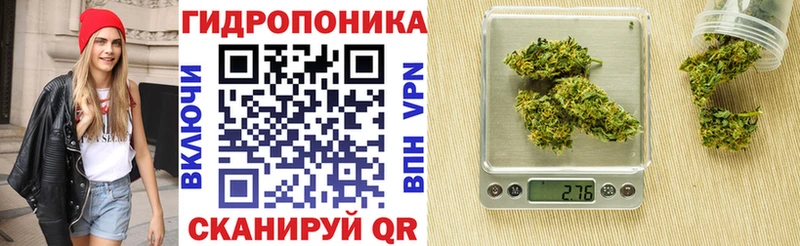 hydra tor  Сарапул  Бошки марихуана OG Kush  закладки 